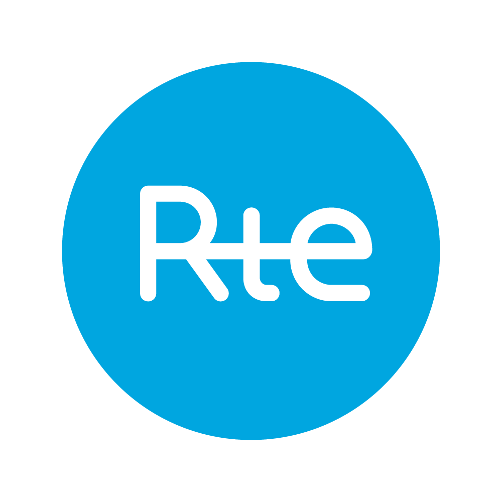 RTE cette entreprise a été accompagnée par l'agence de communication SHEBAM - Logo en couleur