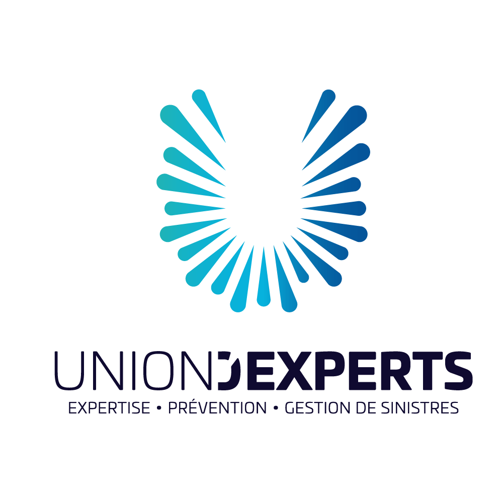 Union d'Experts cette entreprise a été accompagnée par l'agence de communication SHEBAM - Logo en couleur